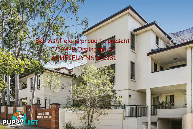 1 14A Orpington St Ashfield NSW 2131