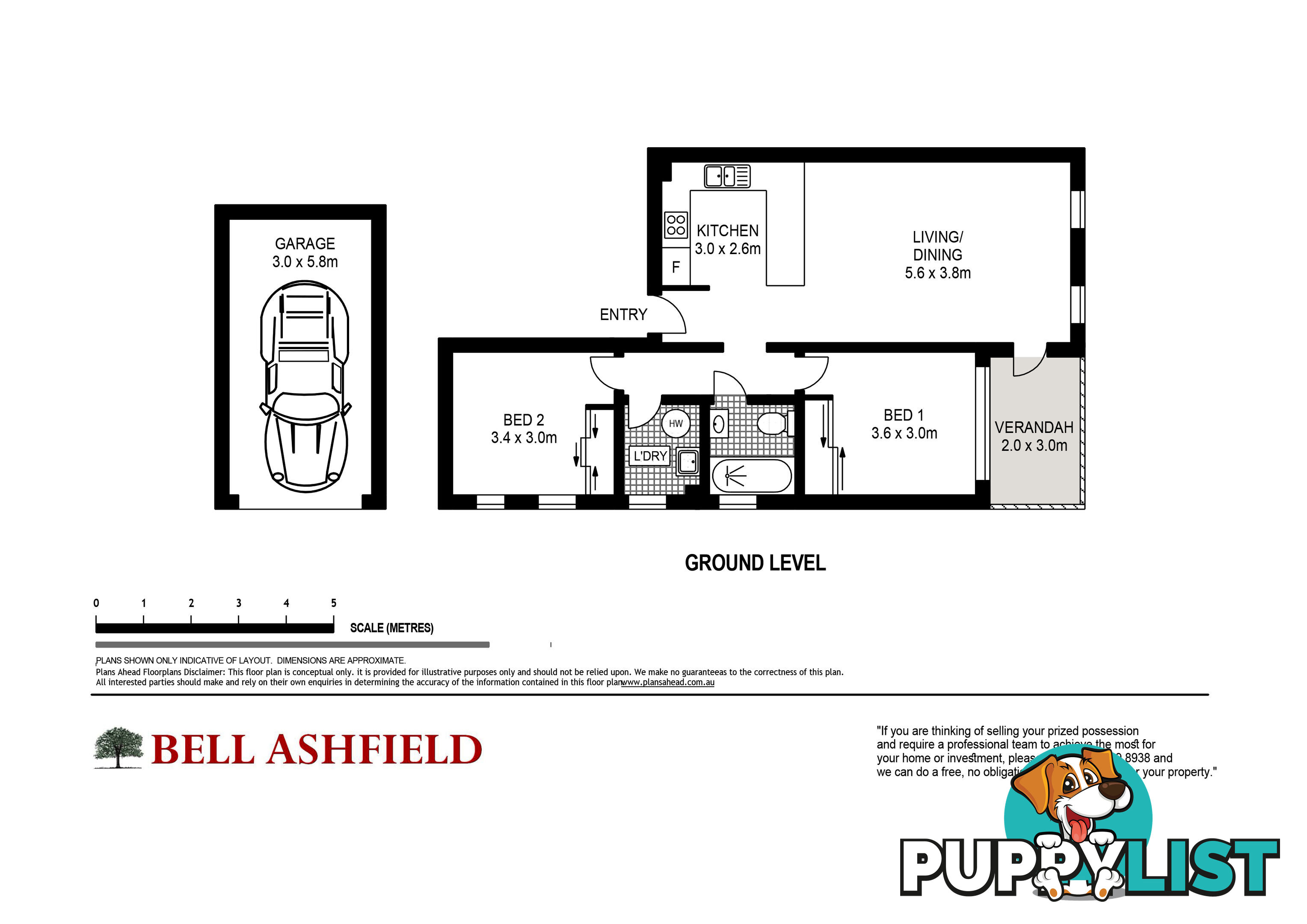 1 14A Orpington St Ashfield NSW 2131
