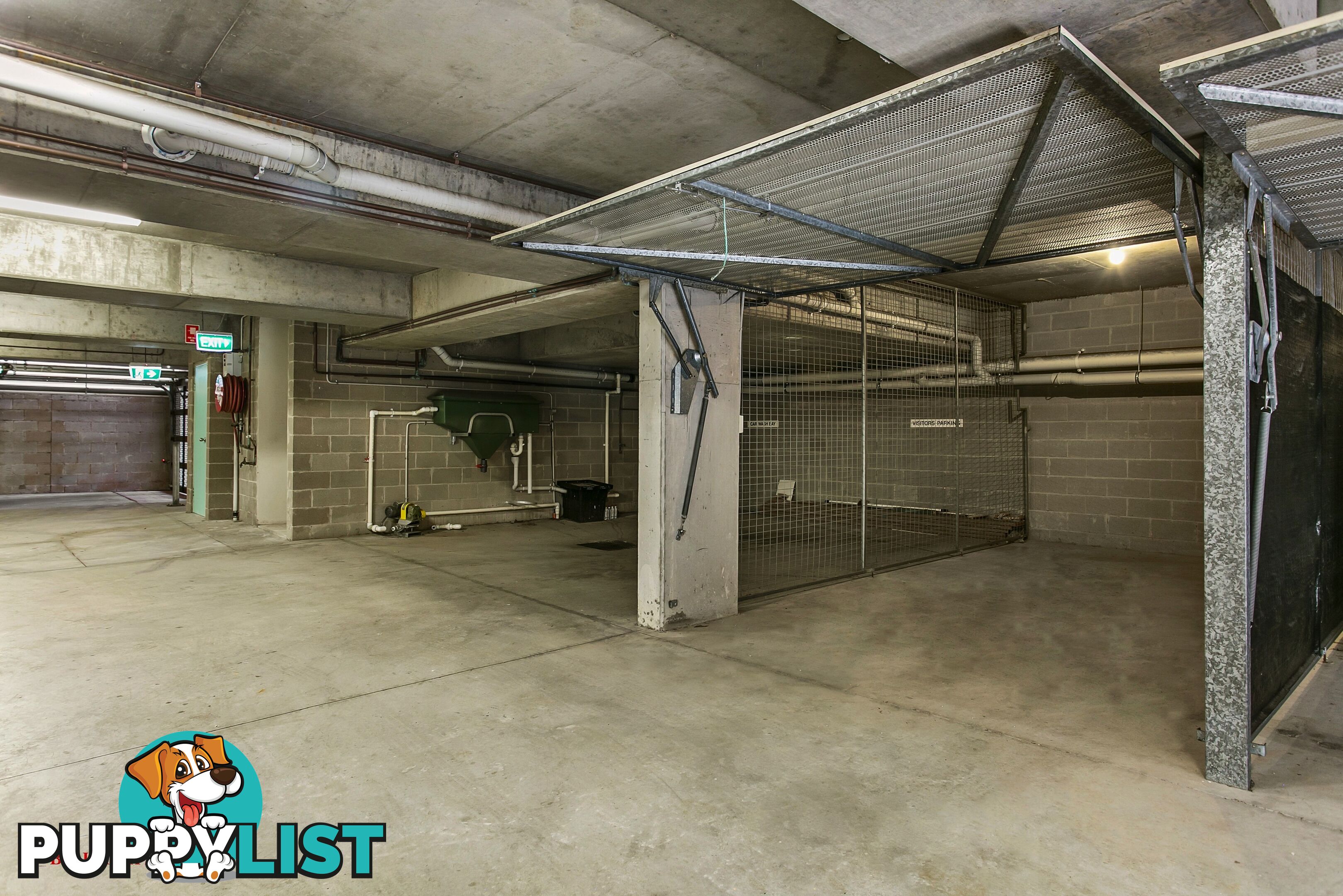 1 14A Orpington St Ashfield NSW 2131