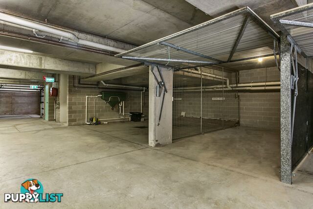 1 14A Orpington St Ashfield NSW 2131