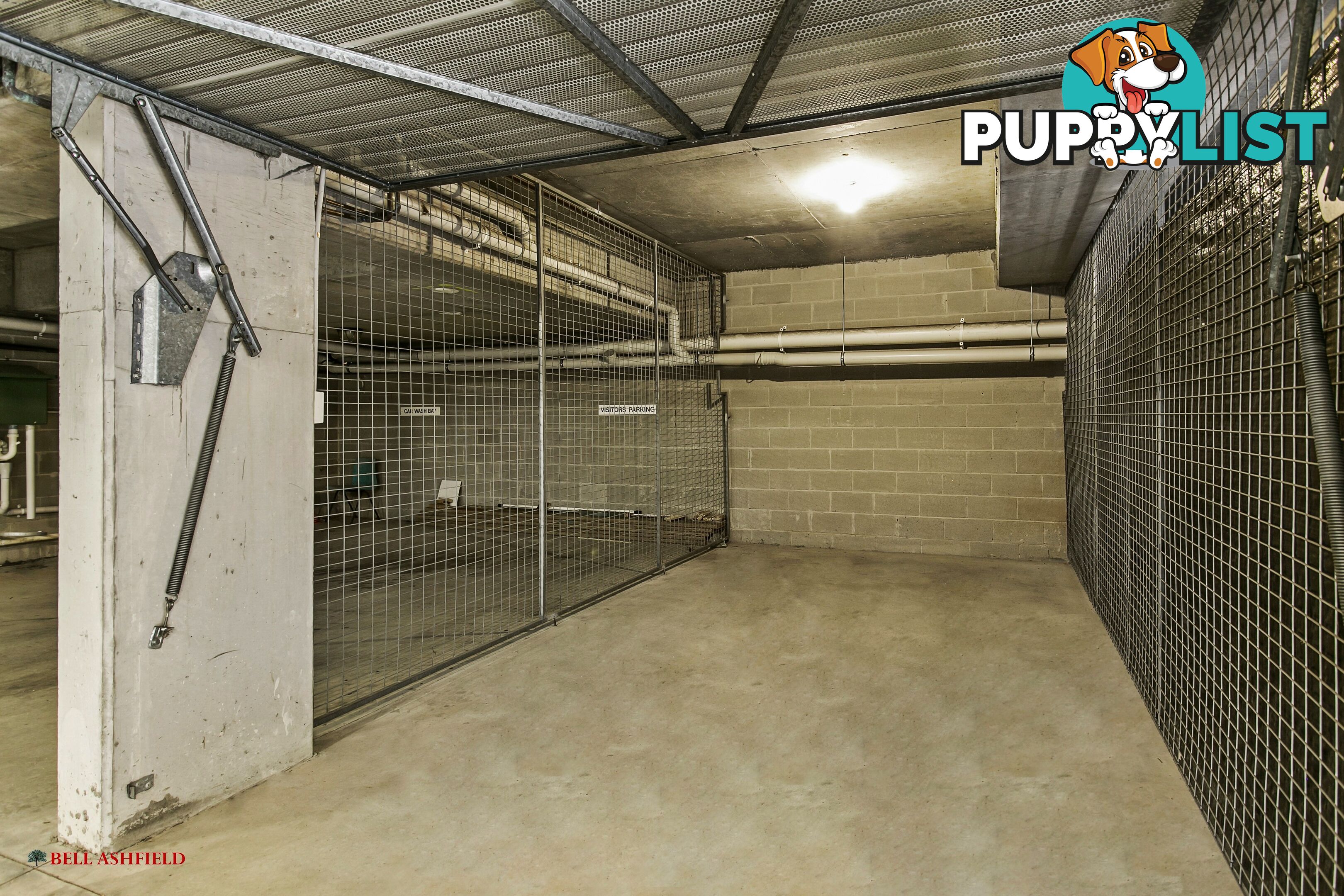1 14A Orpington St Ashfield NSW 2131