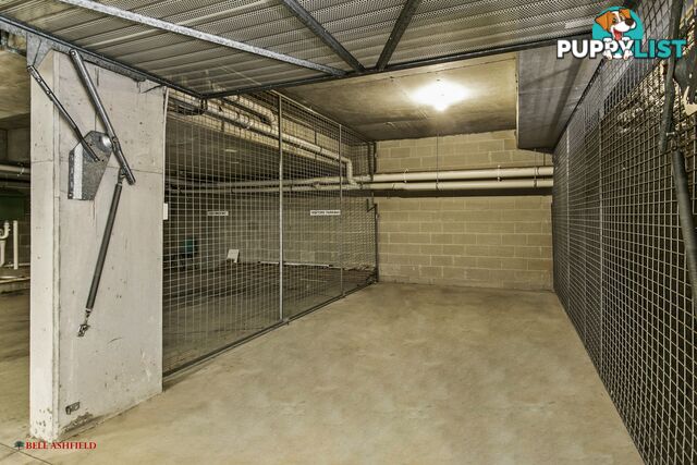 1 14A Orpington St Ashfield NSW 2131