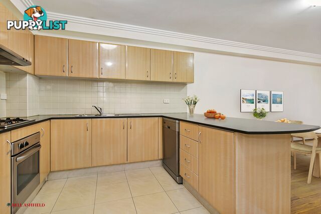 1 14A Orpington St Ashfield NSW 2131