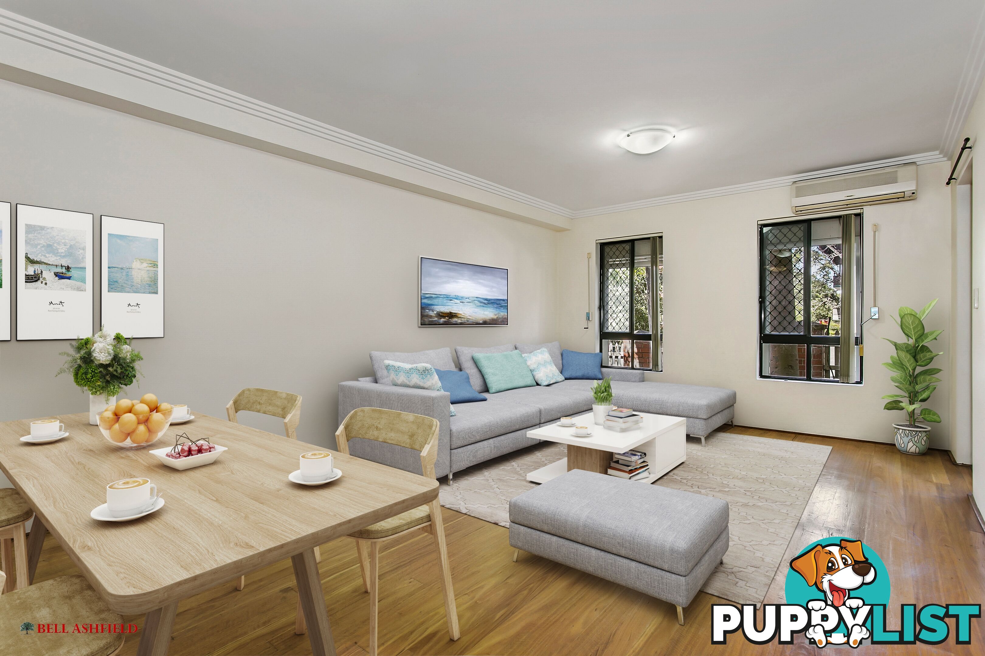 1 14A Orpington St Ashfield NSW 2131