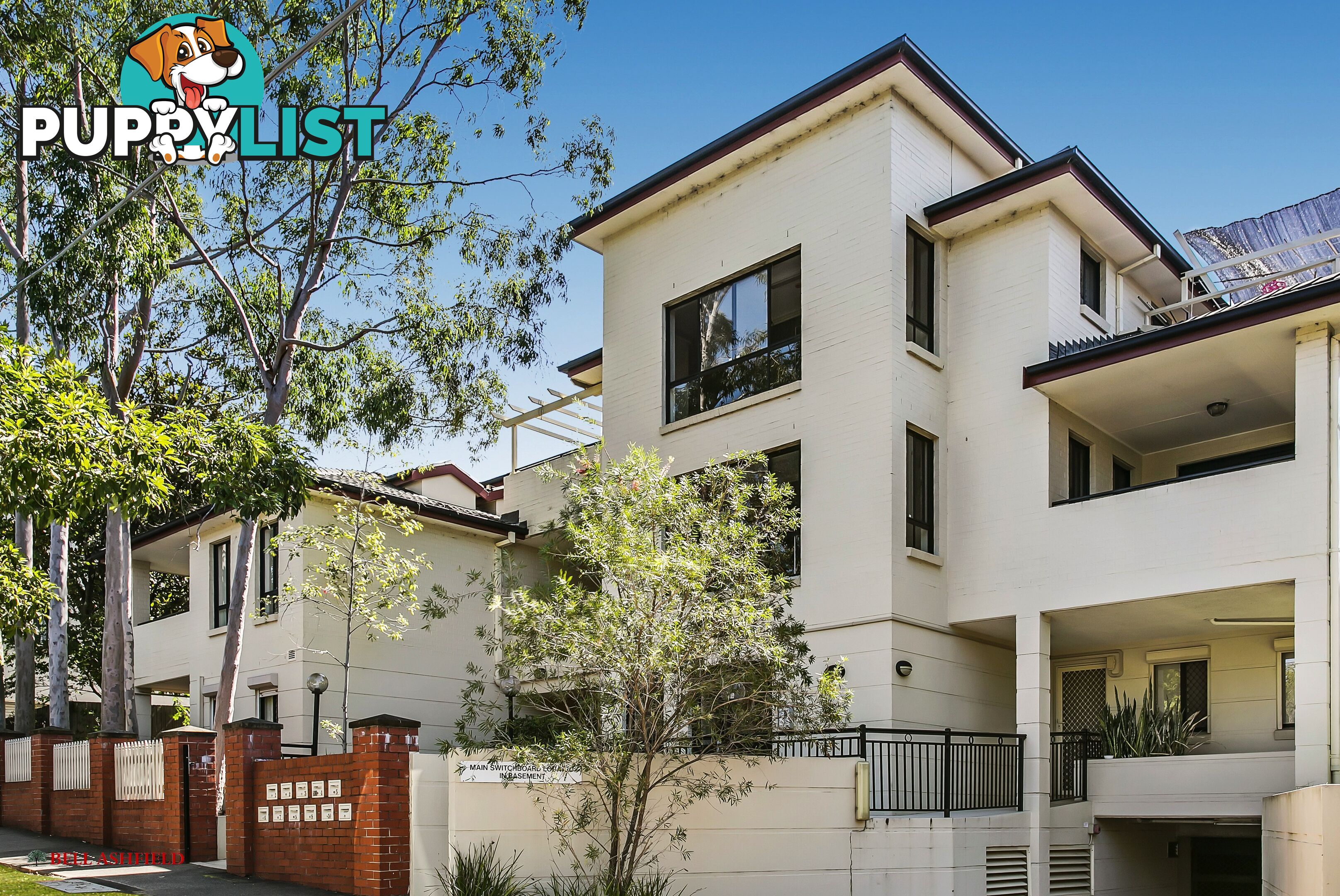 1 14A Orpington St Ashfield NSW 2131
