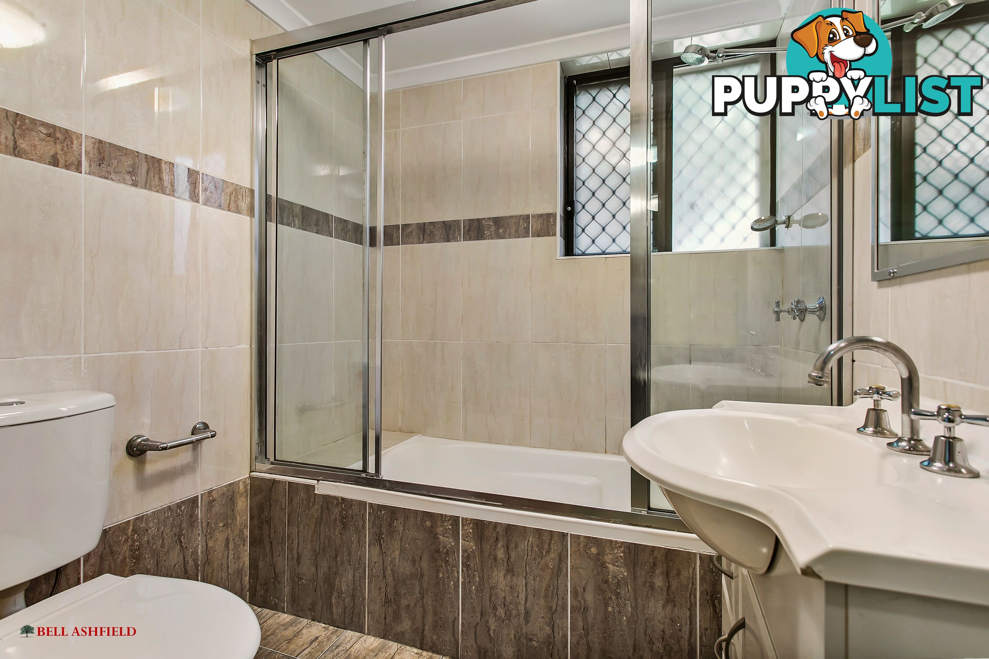 1 14A Orpington St Ashfield NSW 2131
