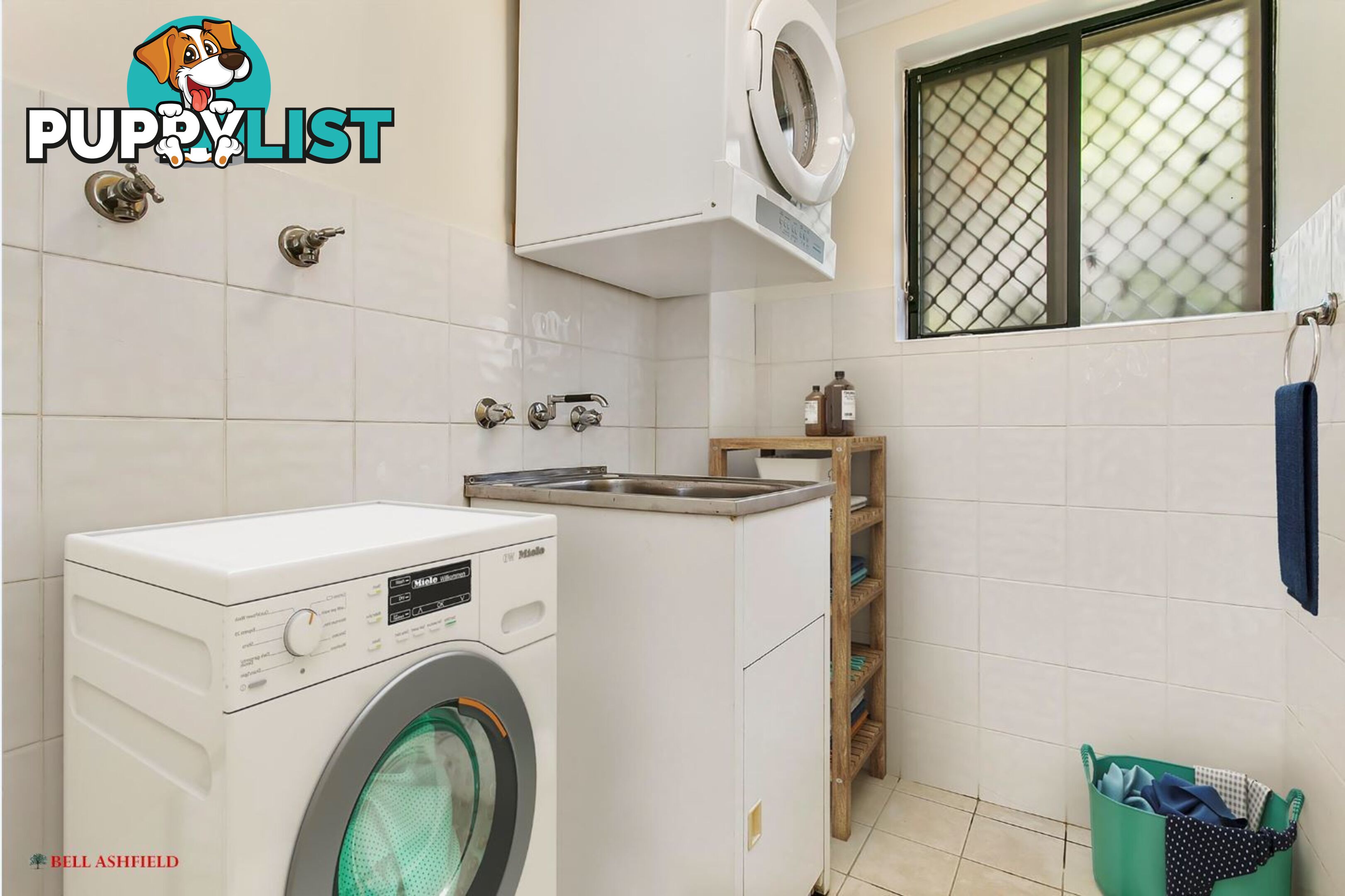 1 14A Orpington St Ashfield NSW 2131
