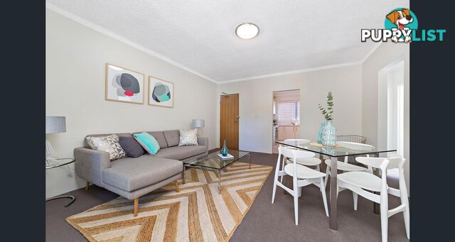 60 Alt St Ashfield NSW 2131