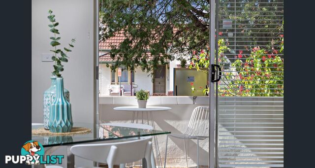60 Alt St Ashfield NSW 2131