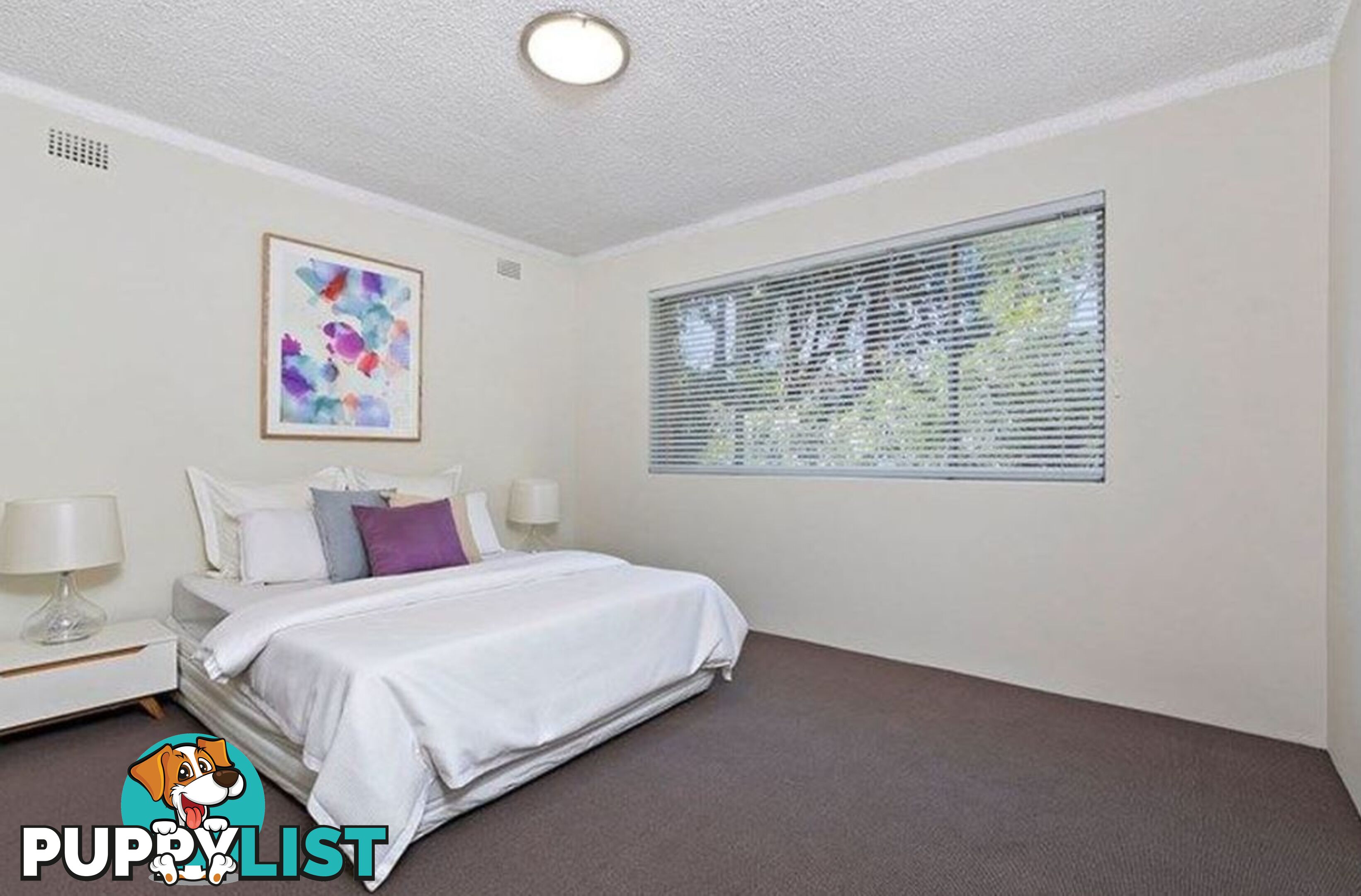 60 Alt St Ashfield NSW 2131