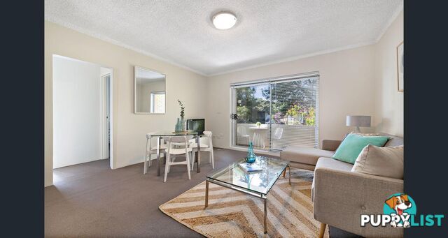 60 Alt St Ashfield NSW 2131