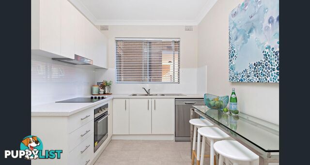 60 Alt St Ashfield NSW 2131