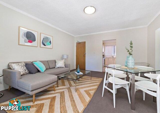 60 Alt St Ashfield NSW 2131