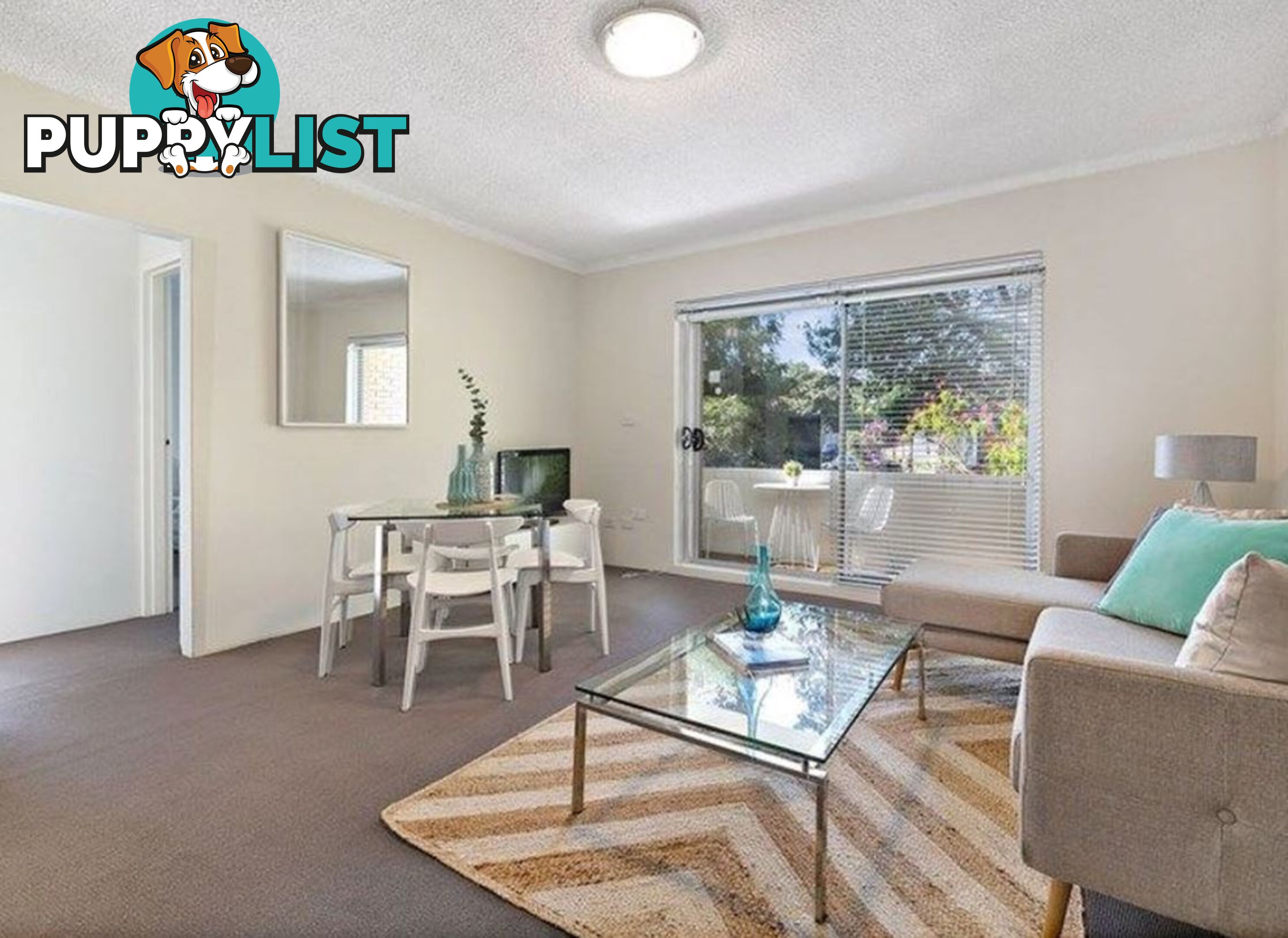 60 Alt St Ashfield NSW 2131