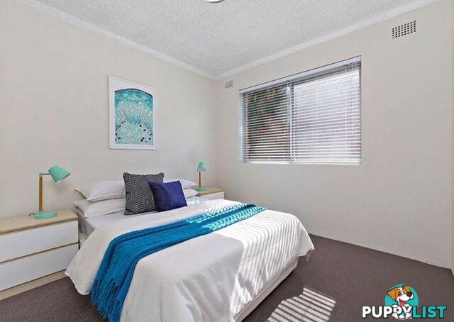 60 Alt St Ashfield NSW 2131