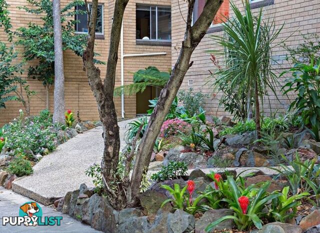 60 Alt St Ashfield NSW 2131