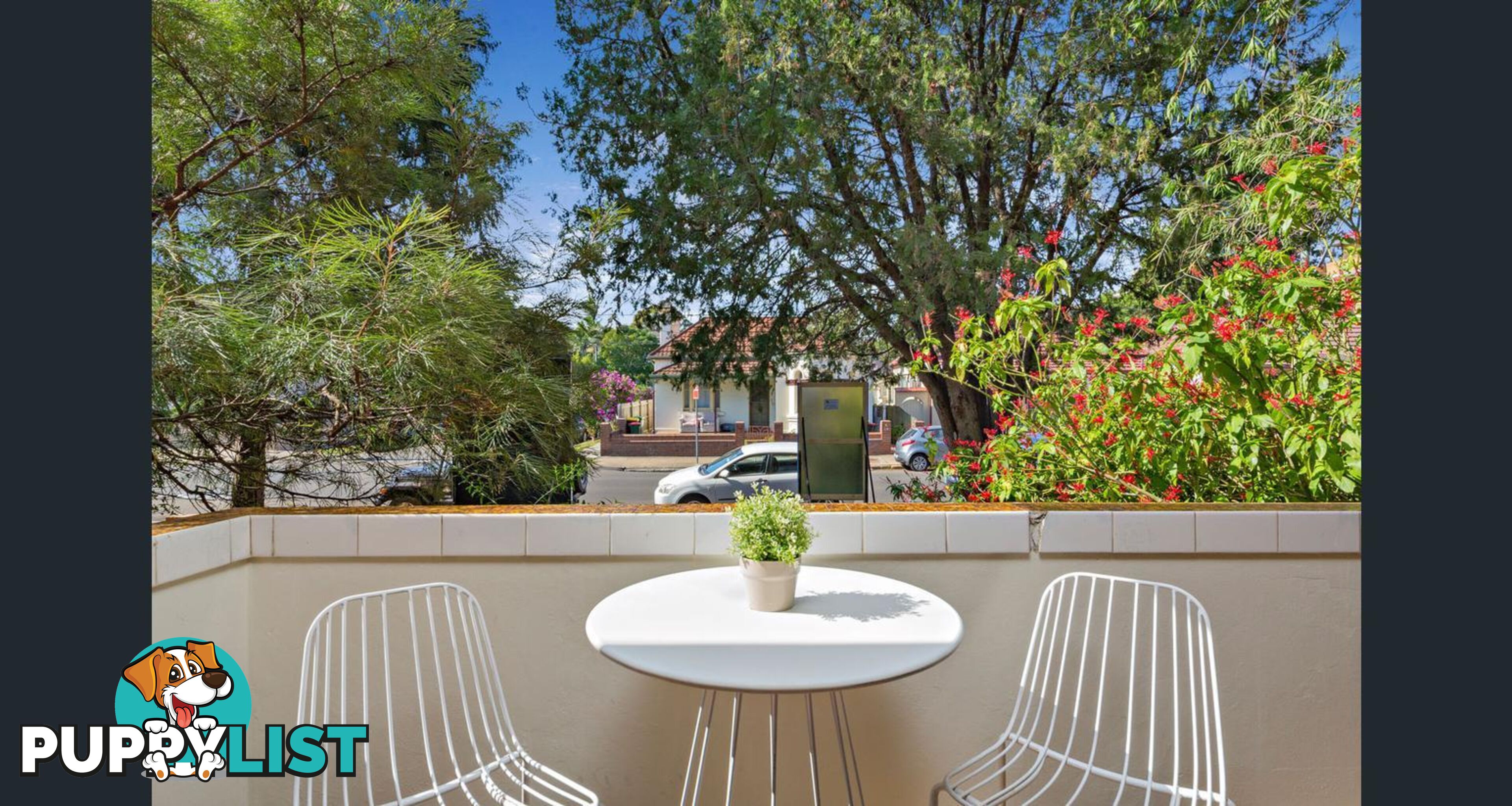 60 Alt St Ashfield NSW 2131