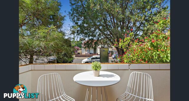 60 Alt St Ashfield NSW 2131