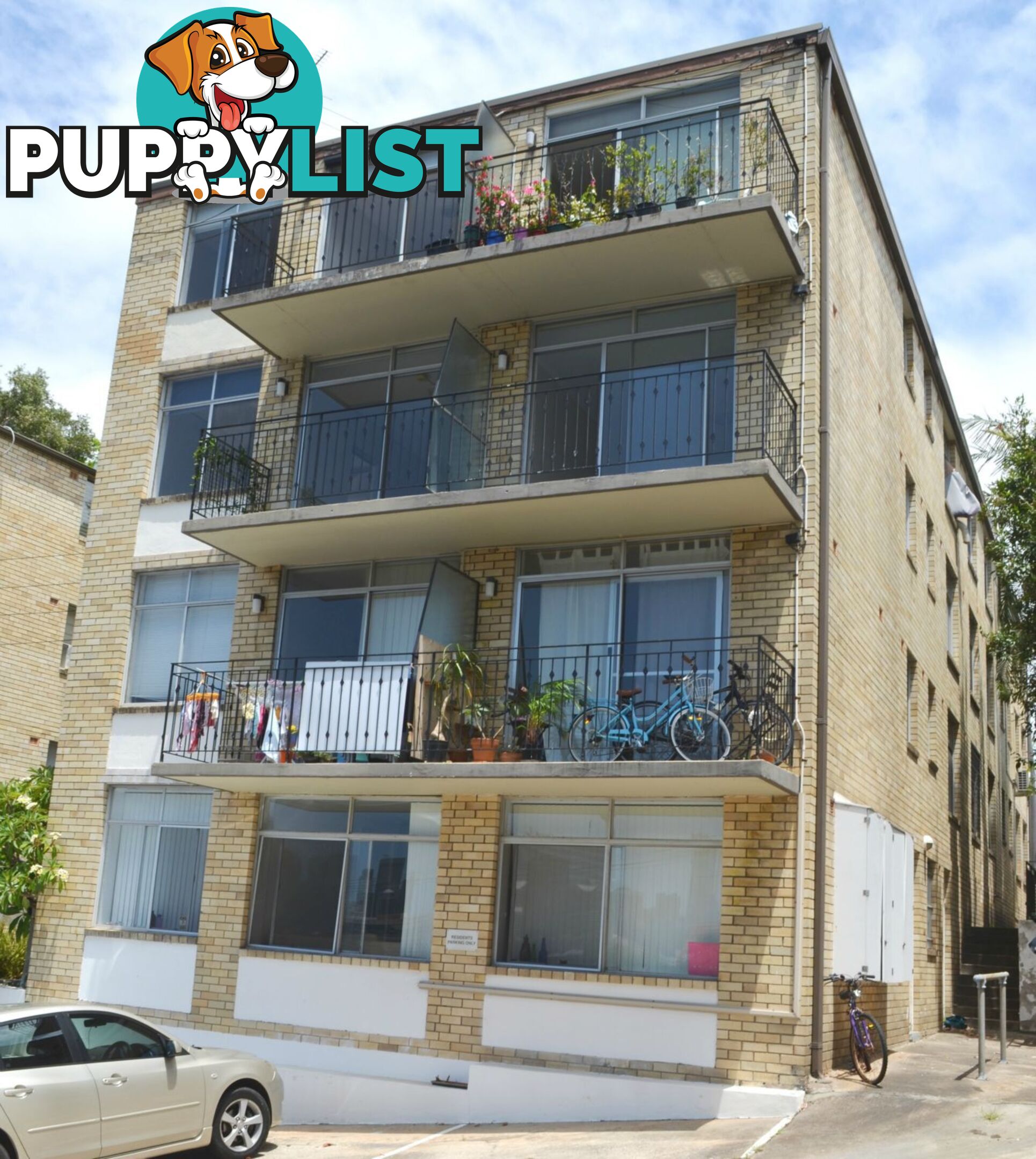 11 10 Avona Avenue St Glebe NSW 2037