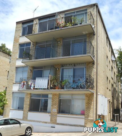 11 10 Avona Avenue St Glebe NSW 2037
