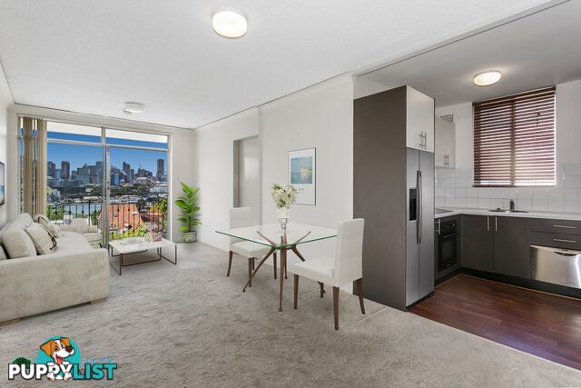 11 10 Avona Avenue St Glebe NSW 2037