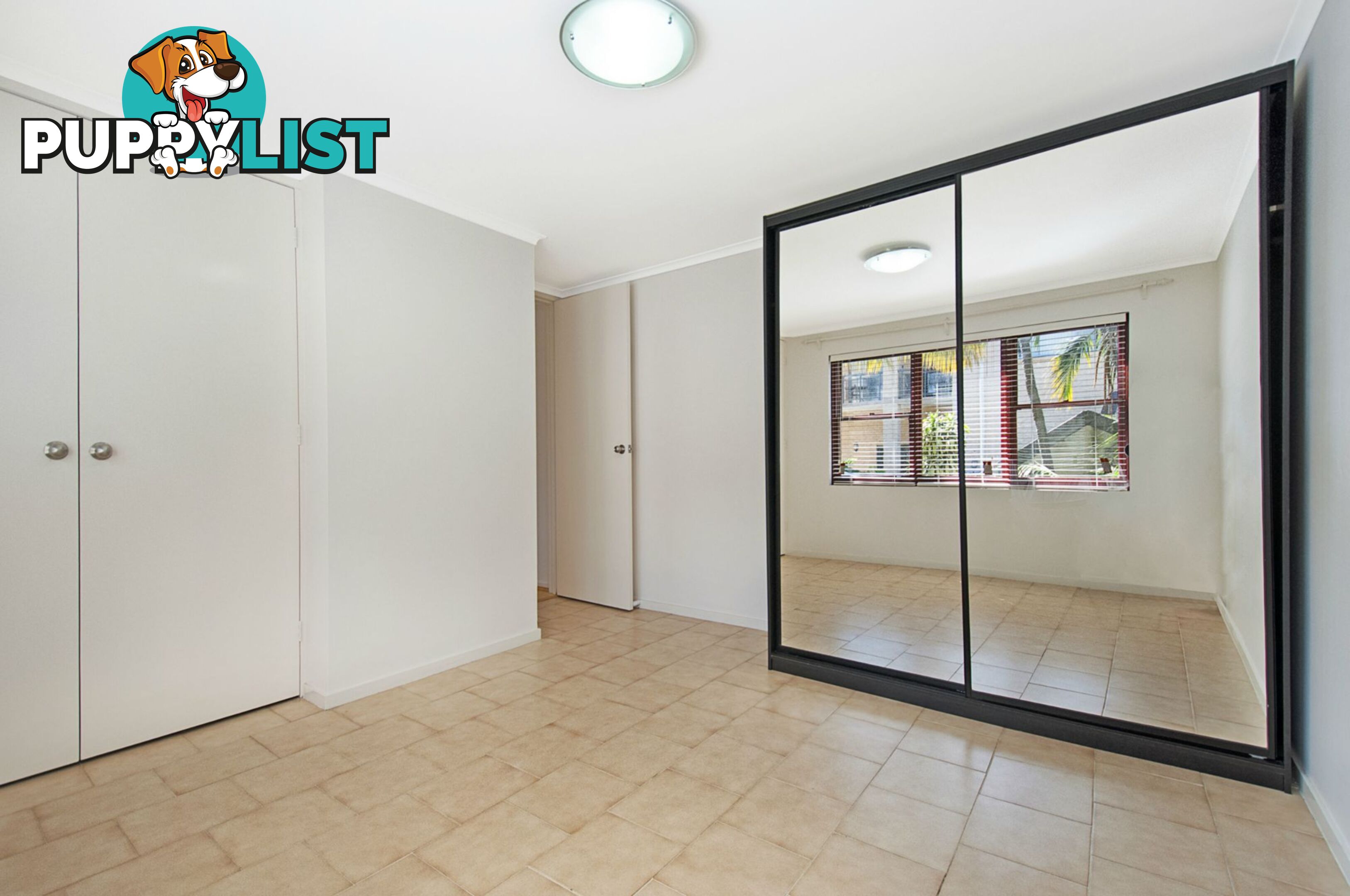 4 2 Cecil Street Ashfield NSW 2131