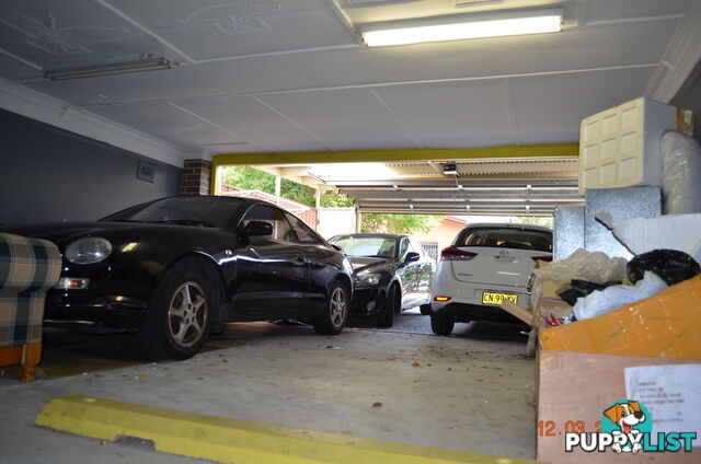 188 Liverpool Rd Ashfield NSW 2131