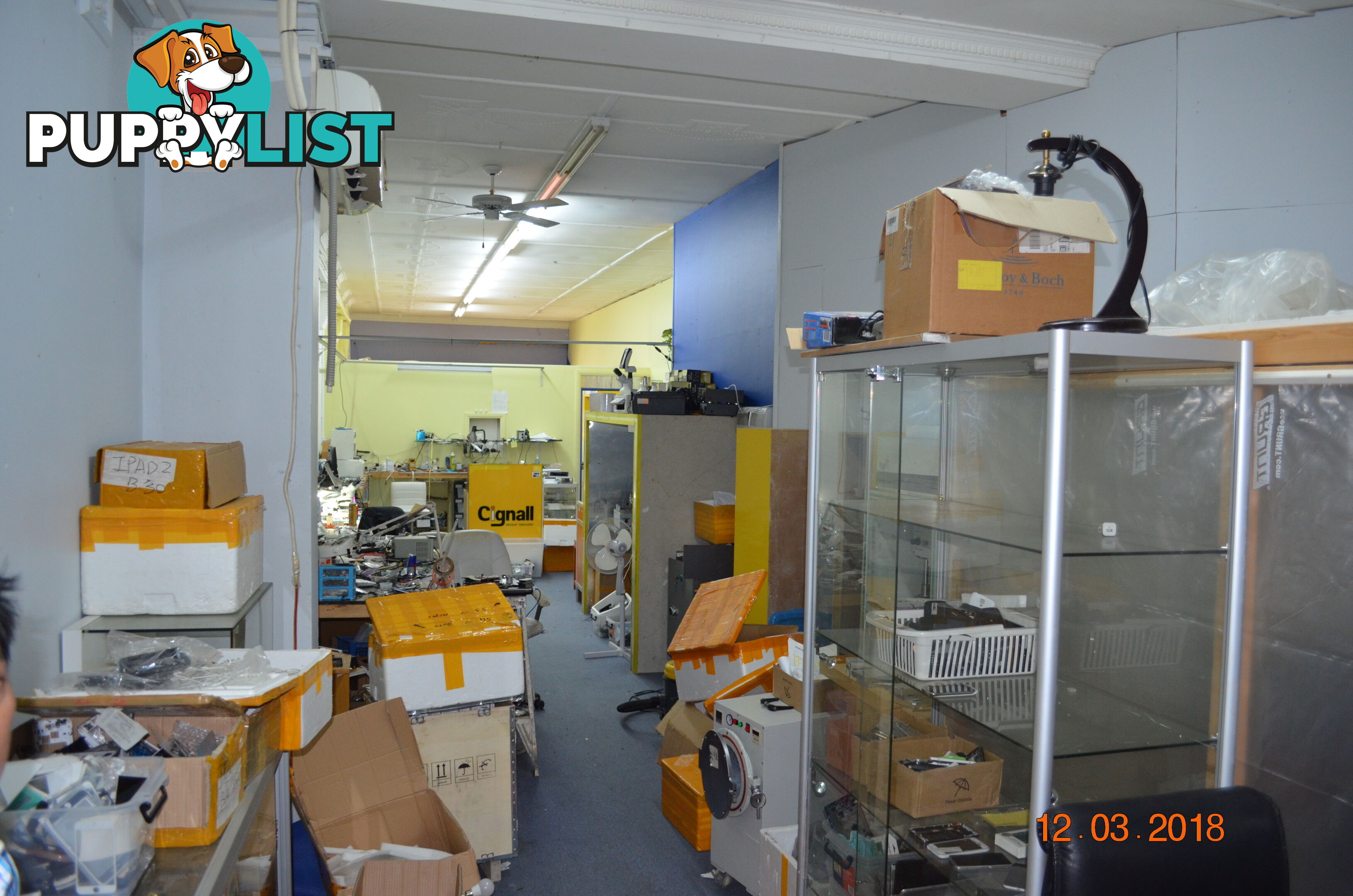 188 Liverpool Rd Ashfield NSW 2131