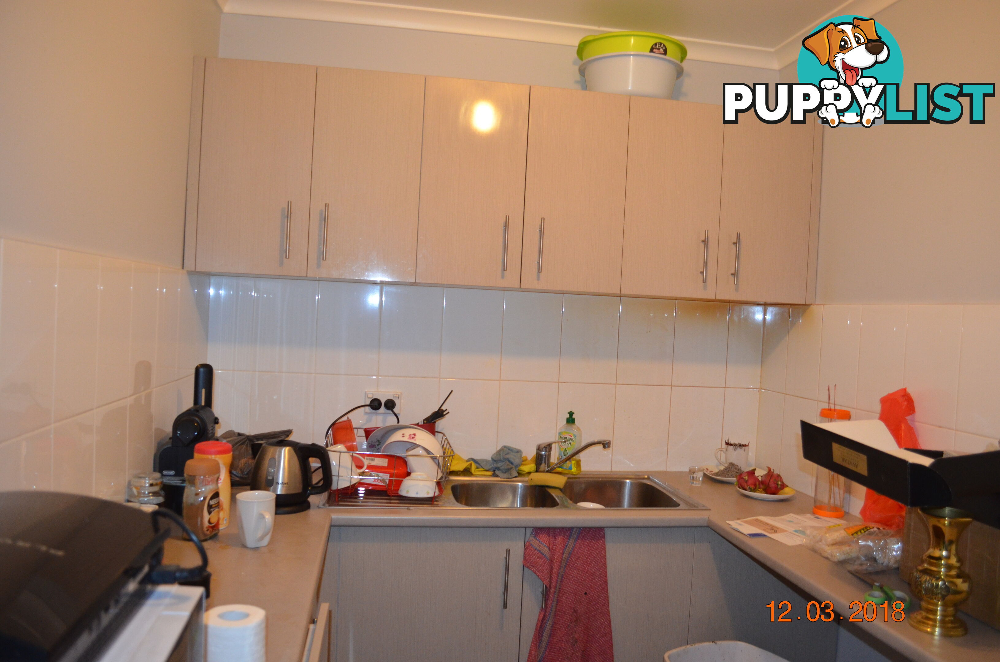 188 Liverpool Rd Ashfield NSW 2131