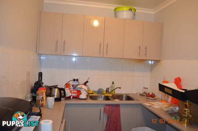 188 Liverpool Rd Ashfield NSW 2131