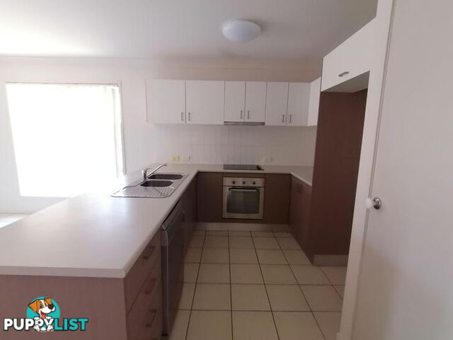 13 Scottsdale Street RACEVIEW QLD 4305