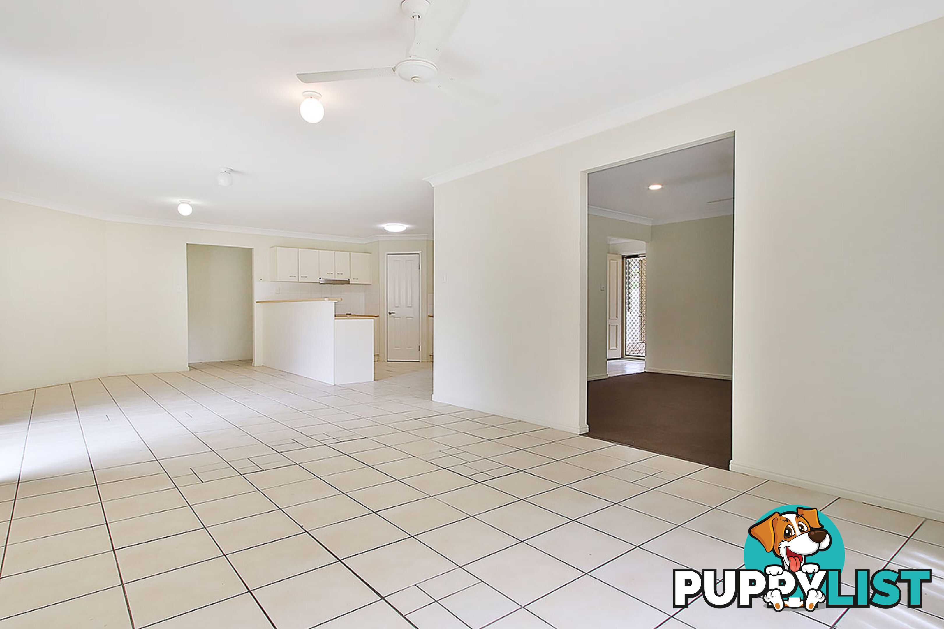 31 Moresby Avenue SPRINGFIELD QLD 4300