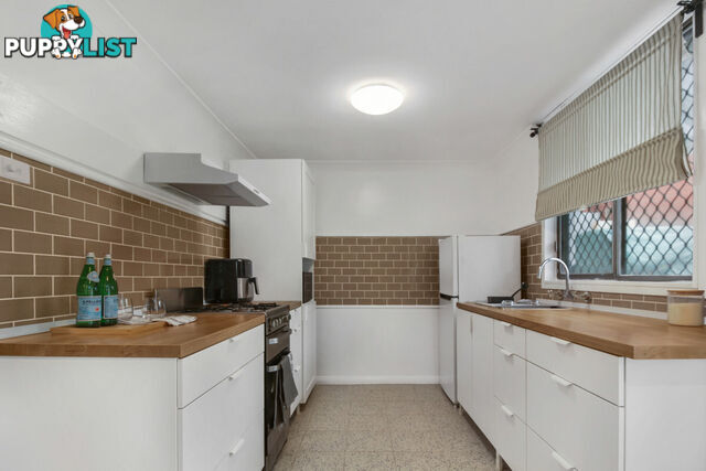 107 Flagstaff Road Warrawong NSW 2502