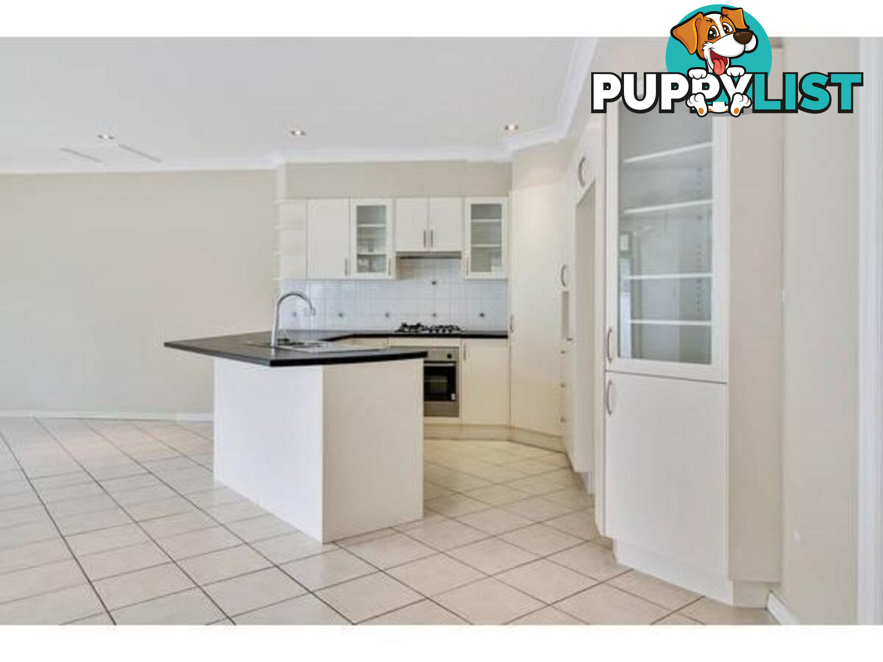 1 6 Rann Street Fairy Meadow NSW 2519