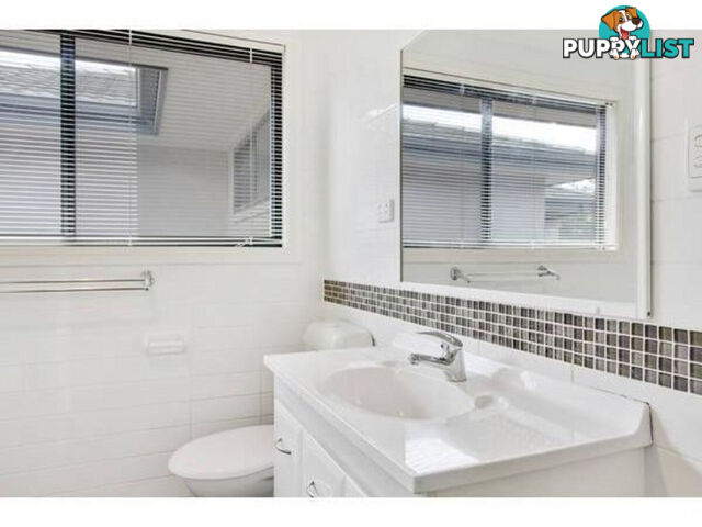 1 6 Rann Street Fairy Meadow NSW 2519