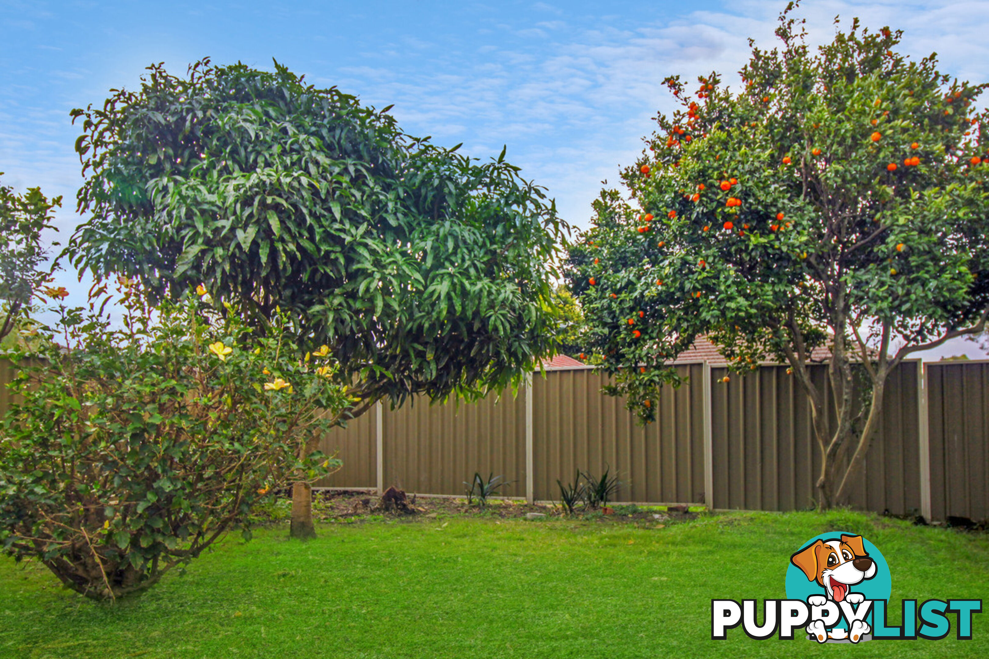 18 Lucinda Street Gwynneville NSW 2500