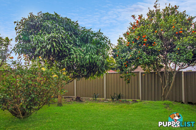 18 Lucinda Street Gwynneville NSW 2500