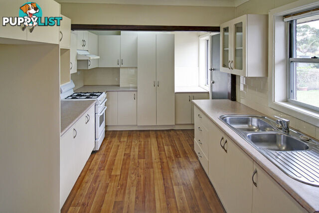 16 Wilkinson Street Berkeley NSW 2506