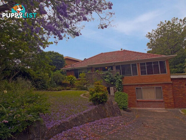 7 Dallas Street Keiraville NSW 2500