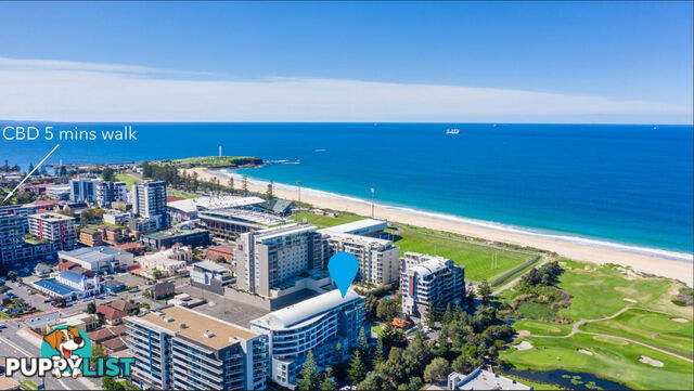 3 12 Bank Street Wollongong NSW 2500