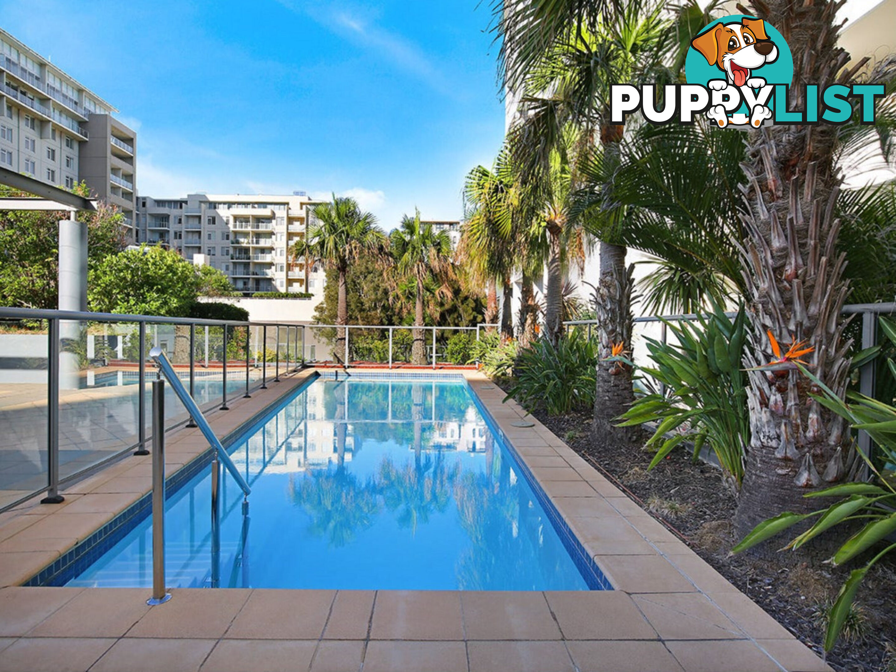 3 12 Bank Street Wollongong NSW 2500