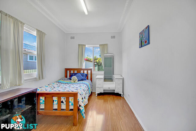 19 Kiernan Street Gwynneville NSW 2500