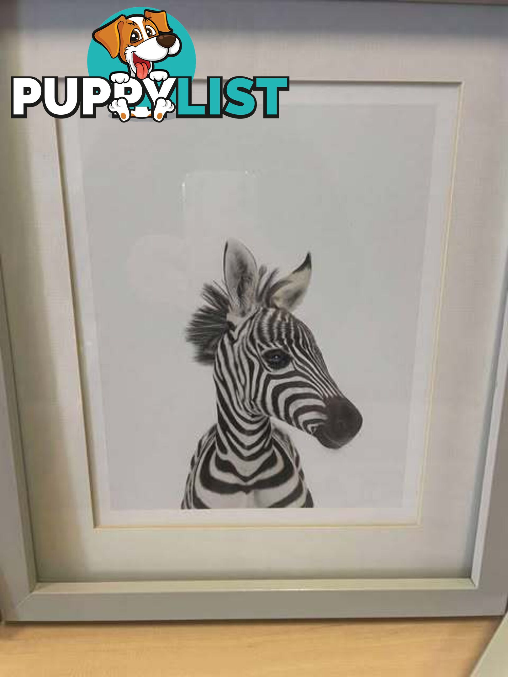 3 x Sweet Mounted Baby Zoo Animal Nursery Prints - Embleton,Perth