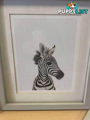 3 x Sweet Mounted Baby Zoo Animal Nursery Prints - Embleton,Perth