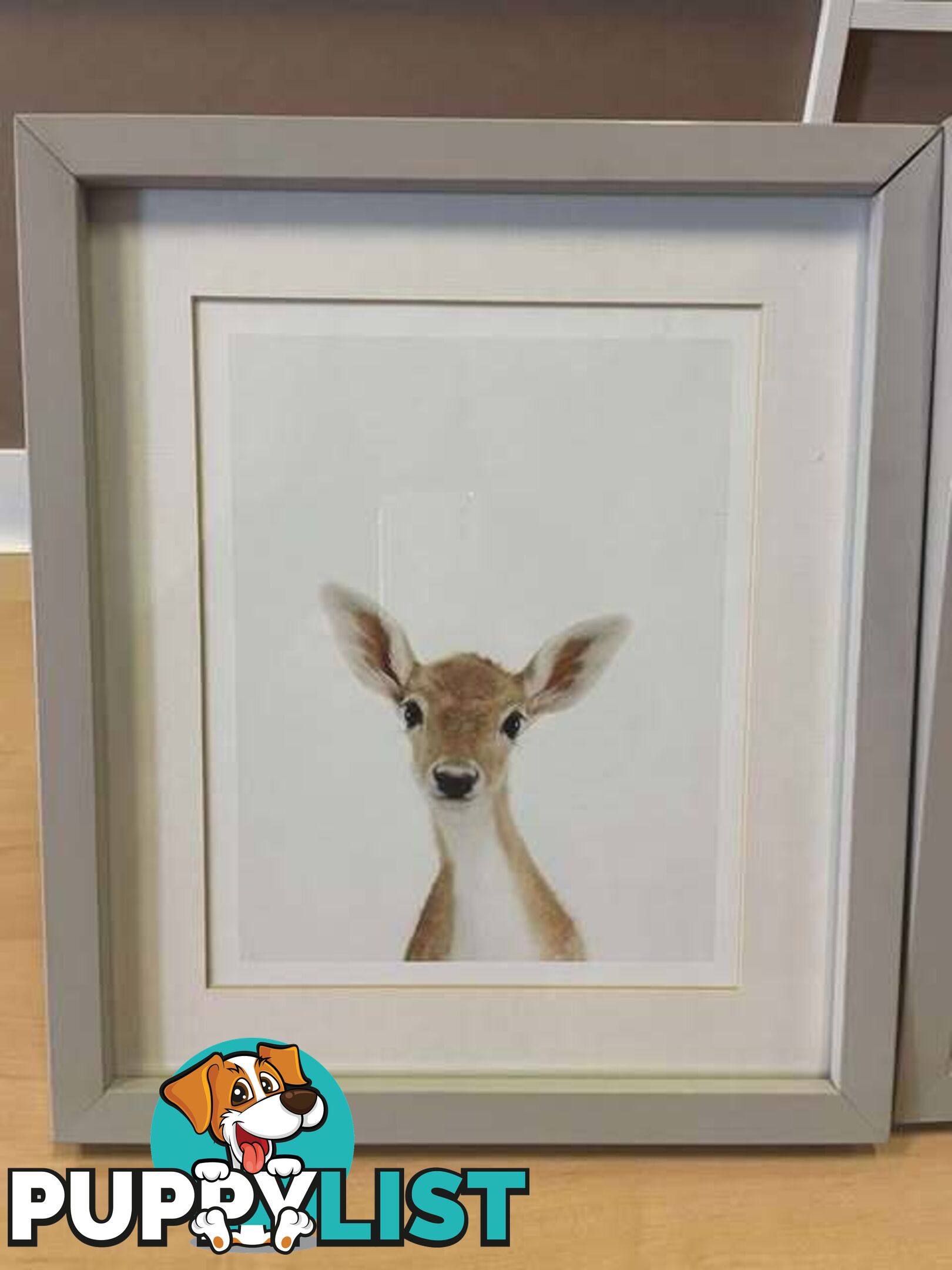3 x Sweet Mounted Baby Zoo Animal Nursery Prints - Embleton,Perth