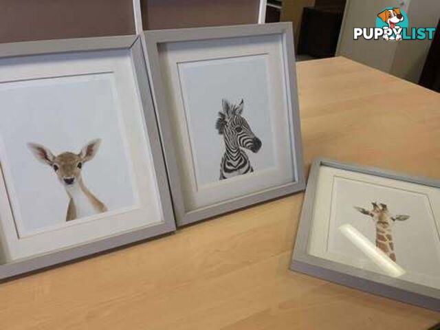 3 x Sweet Mounted Baby Zoo Animal Nursery Prints - Embleton,Perth