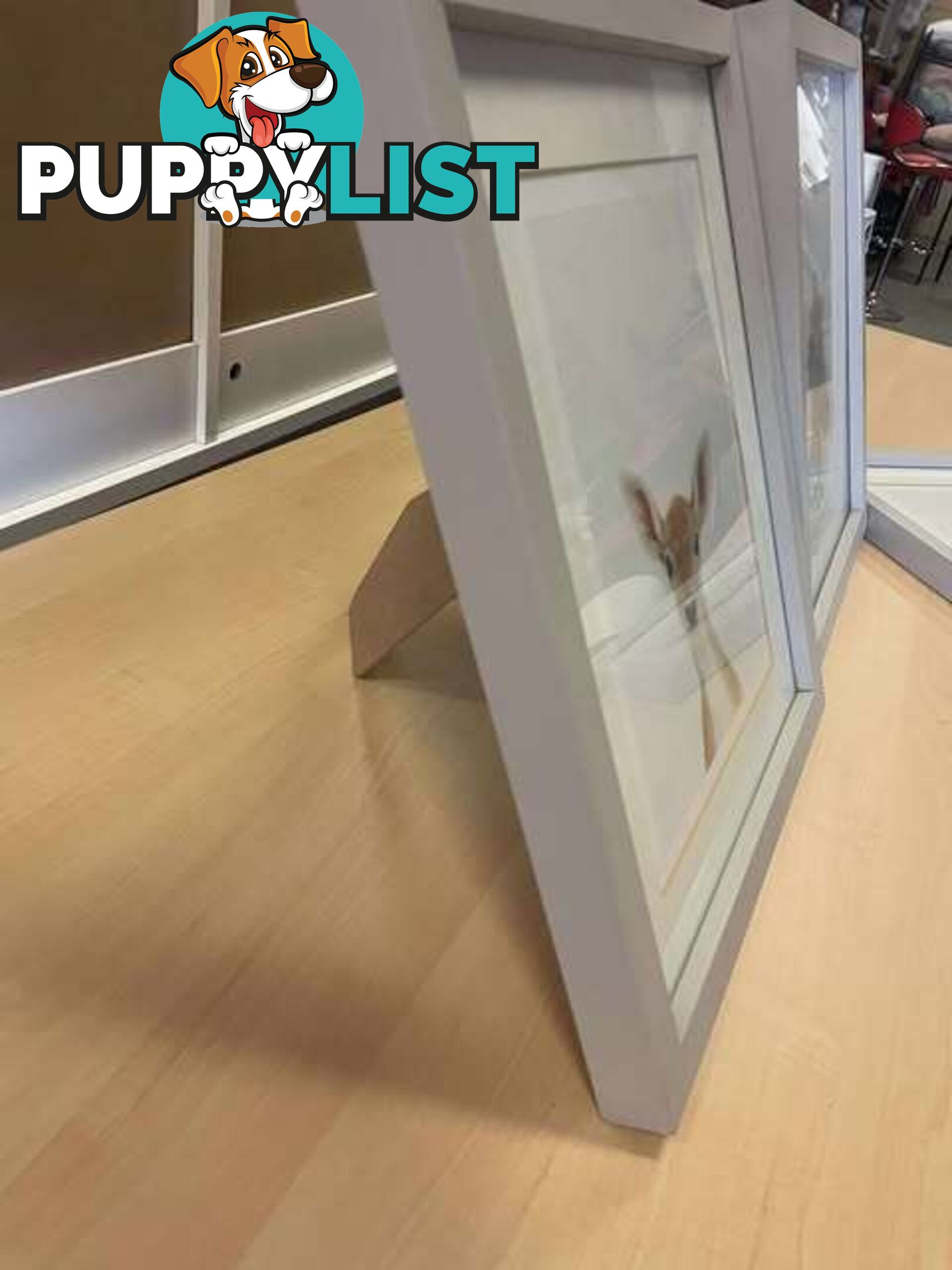 3 x Sweet Mounted Baby Zoo Animal Nursery Prints - Embleton,Perth