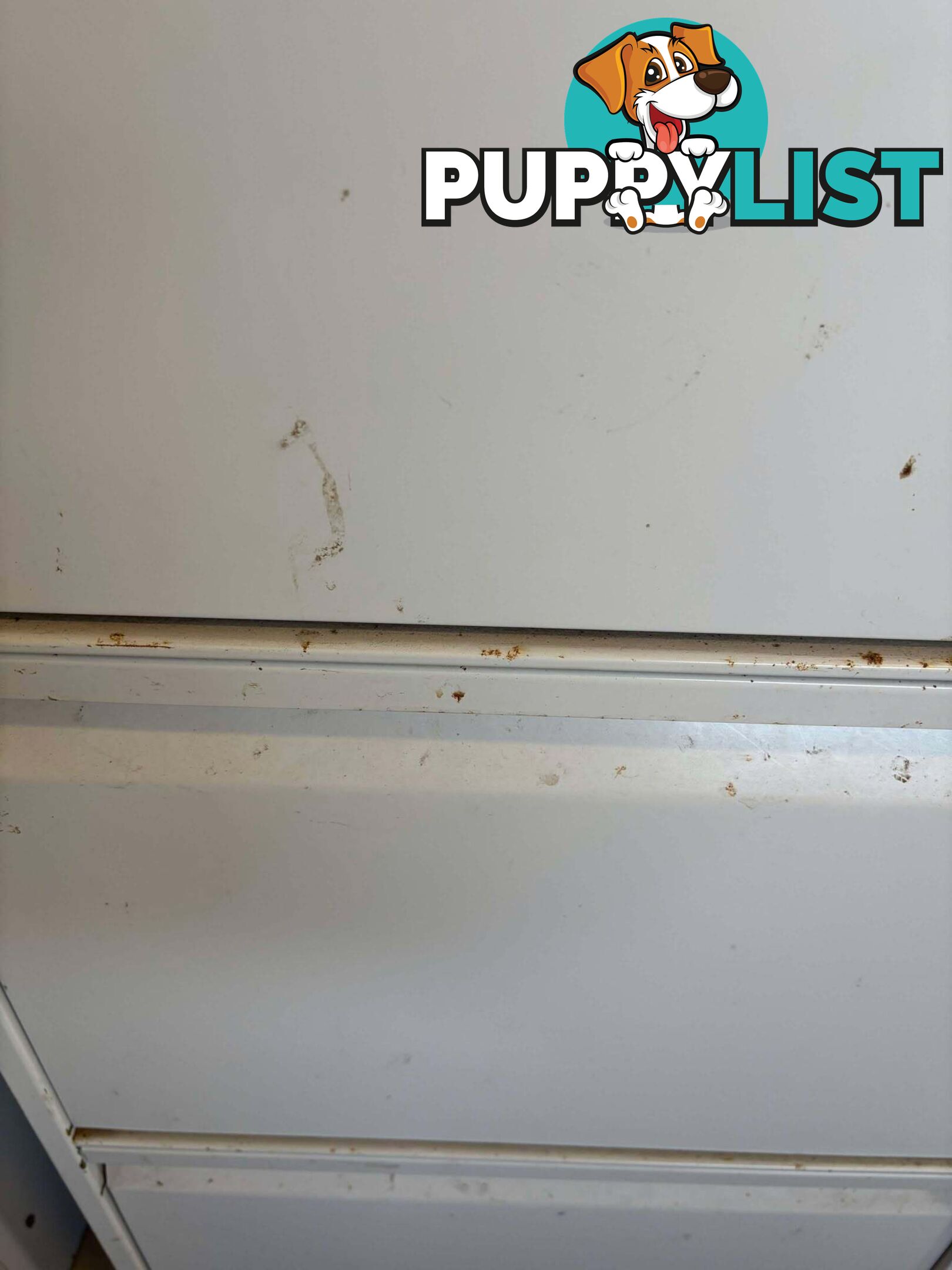 4-Drawer Vertical Filing Cabinet- NO KEY