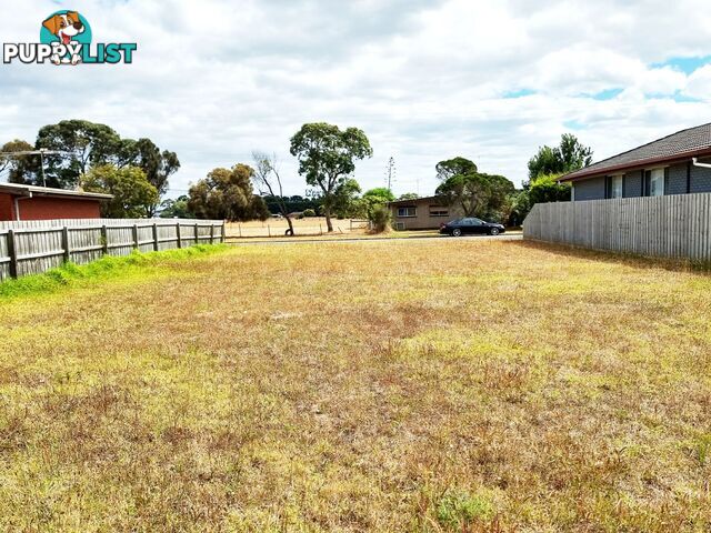 431 Ibbotson Street ST LEONARDS VIC 3223