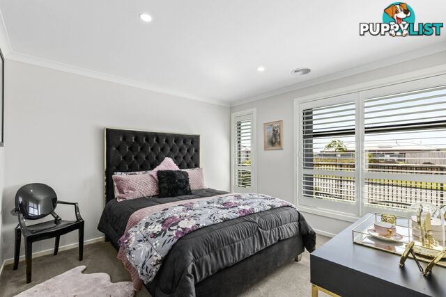 5 Felix Street ST LEONARDS VIC 3223